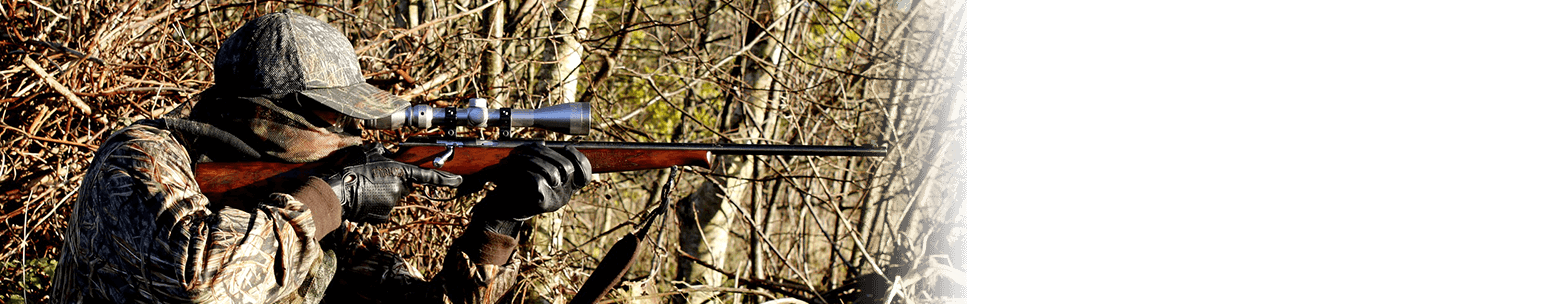 Chasse Chasse