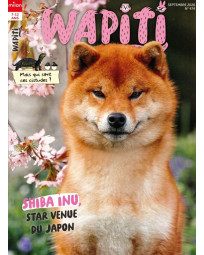 Abonnement Wapiti