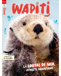 Abonnement Wapiti