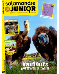 Abonnement Salamandre Junior