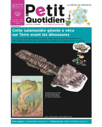 Abonnement Le Petit Quotidien