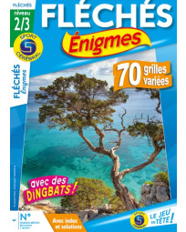 Abonnement Fléchés Énigmes (Niveau 2/3)