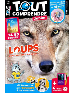 Abonnement Tout comprendre Junior