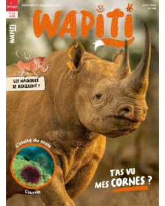 Abonnement Wapiti